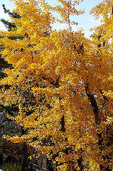 dsc06165_thumb.jpg