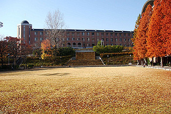 dsc06169_thumb.jpg