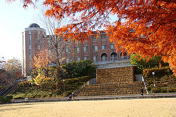 dsc06173_thumb.jpg