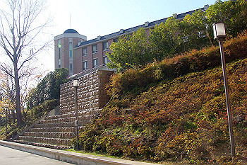 dsc06176_thumb.jpg
