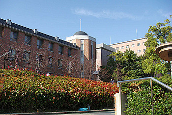 dsc06177_thumb.jpg