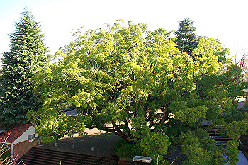 dsc06184_thumb.jpg