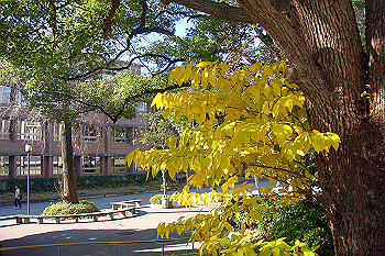 dsc06301_thumb.jpg