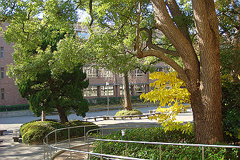 dsc06302_thumb.jpg