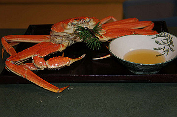 dsc06375_thumb.jpg