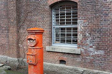 dsc06439_thumb.jpg