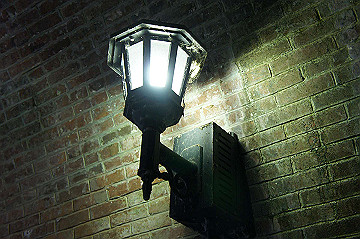 dsc06447_thumb.jpg