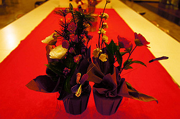 dsc06523_thumb.jpg