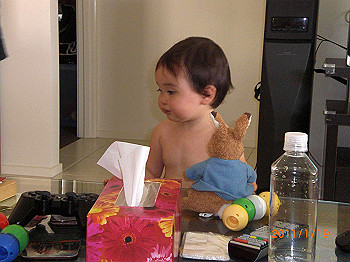 20110119-0008_thumb.jpg