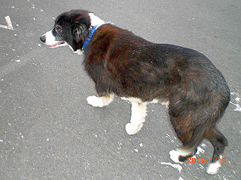 20110119-0081_thumb.jpg