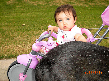 20110119-0083_thumb.jpg