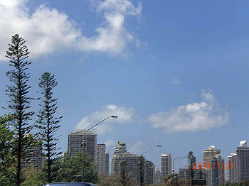 20110119-0137_thumb.jpg
