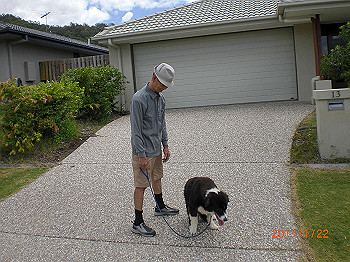 20110119-0234_thumb.jpg