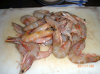 20110119-0240_thumb.jpg