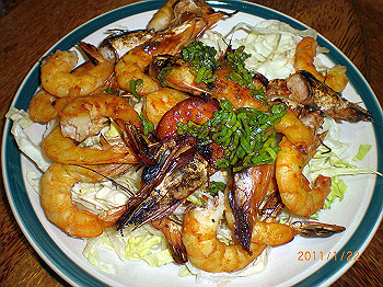 20110119-0242_thumb.jpg