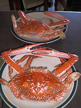20110119-0255_thumb.jpg