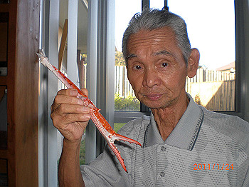 20110119-0263_thumb.jpg