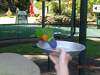 20110119-0284_thumb.jpg