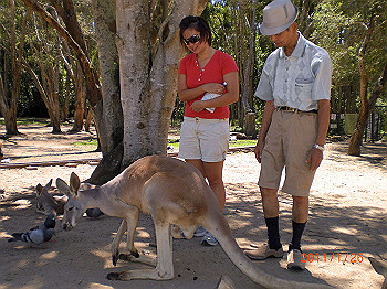 20110119-0311_thumb.jpg