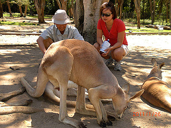 20110119-0314_thumb.jpg