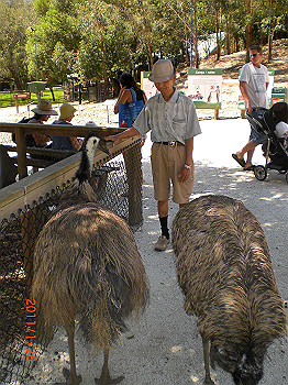 20110119-0320_thumb.jpg