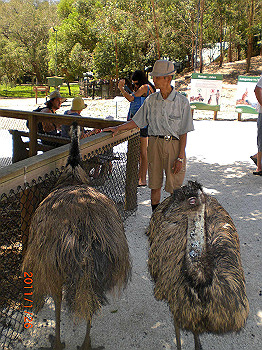 20110119-0321_thumb.jpg