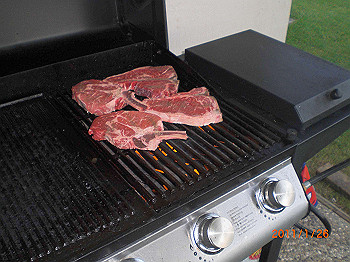 20110119-0336_thumb.jpg