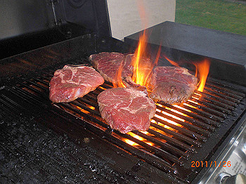 20110119-0346_thumb.jpg