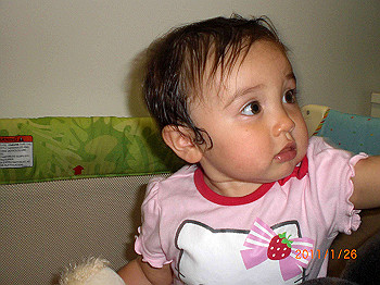 20110119-0433_thumb.jpg
