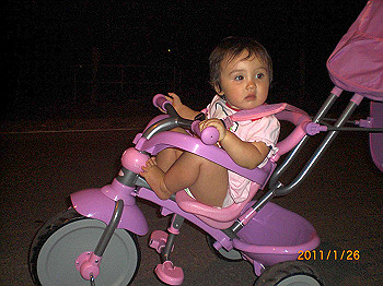 20110119-0457_thumb.jpg