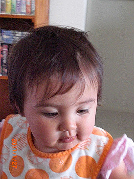20110119-0473_thumb.jpg