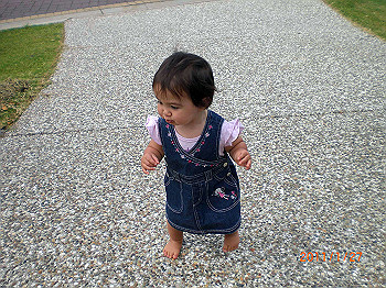 20110119-0486_thumb.jpg