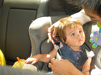 20110119-0499_thumb.jpg