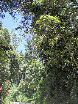 20110119-0505_thumb.jpg