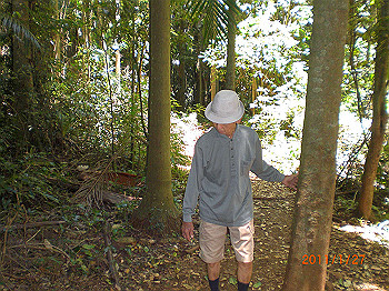 20110119-0510_thumb.jpg