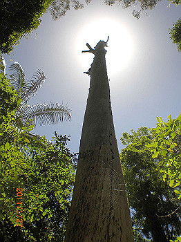 20110119-0513_thumb.jpg
