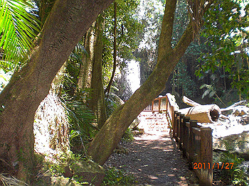 20110119-0520_thumb.jpg