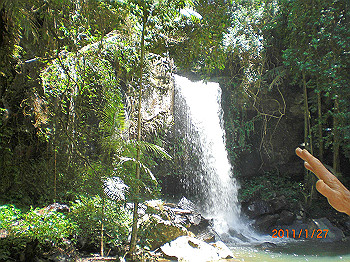 20110119-0524_thumb.jpg