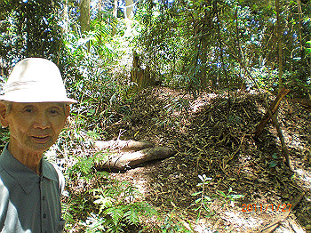 20110119-0536_thumb.jpg