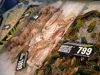 20110119-0550_thumb.jpg
