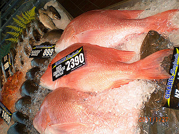 20110119-0553_thumb.jpg