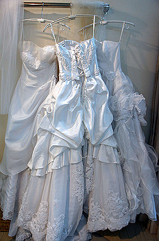 dsc06630_thumb.jpg