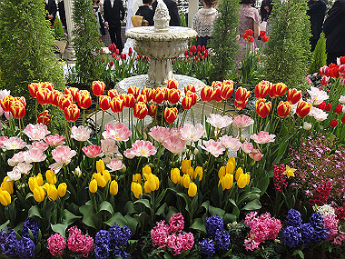 kt_dsc02431_thumb.jpg