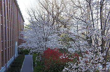 dsc06902_thumb.jpg