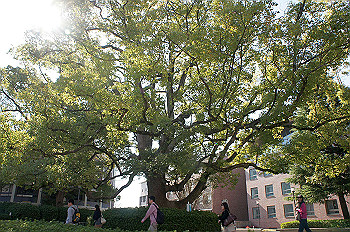 dsc06907_thumb.jpg