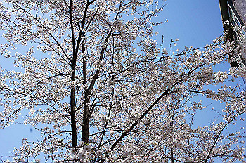dsc06916_thumb.jpg