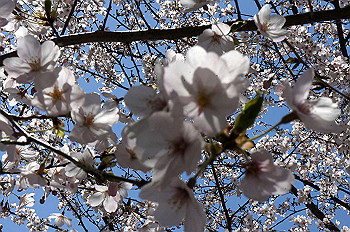 dsc06921_thumb.jpg