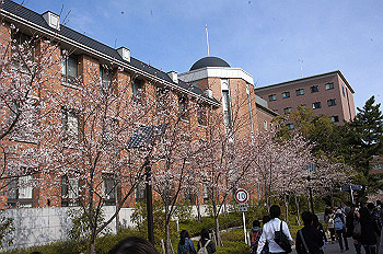 dsc06943_thumb.jpg