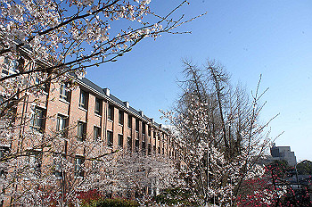 dsc06949_thumb.jpg
