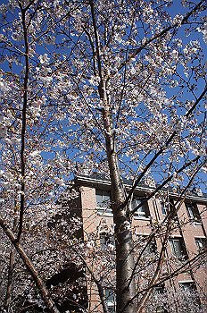dsc06950_thumb.jpg